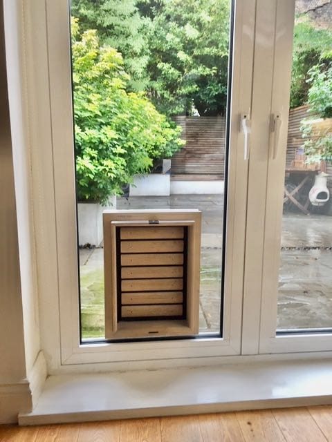 A beautiful wooden cat flap in glass or dog flap in a glass door Tomsgates