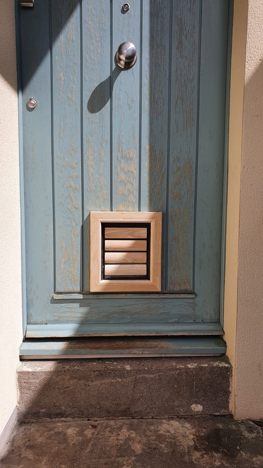 beautiful wooden cat door in door and dog door in door draft-free lockable and silent