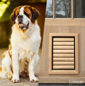 Dog flap medium best sale