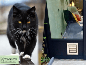 Wooden cat door installed in a blue panel under a window of a modern home - Tomsgates