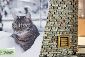 Oak cat door in a wall insulates well against the cold of snow in winter - Tomsgates