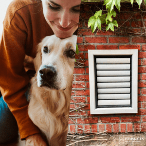 Grijs geolied houten Beethoven hondenluik voor Golden Retriever geïnstalleerd in een gemetste bakstenen muur - Tomsgates