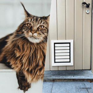 Cat door entrance hotsell