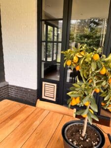 Chatière en bois réalisé par Tomsgates pour gros chats et pour chien de taille moyenne installée dans une porte de porche sur une terrasse avec table vernis et pot de fleurs